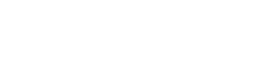 vizentor logo